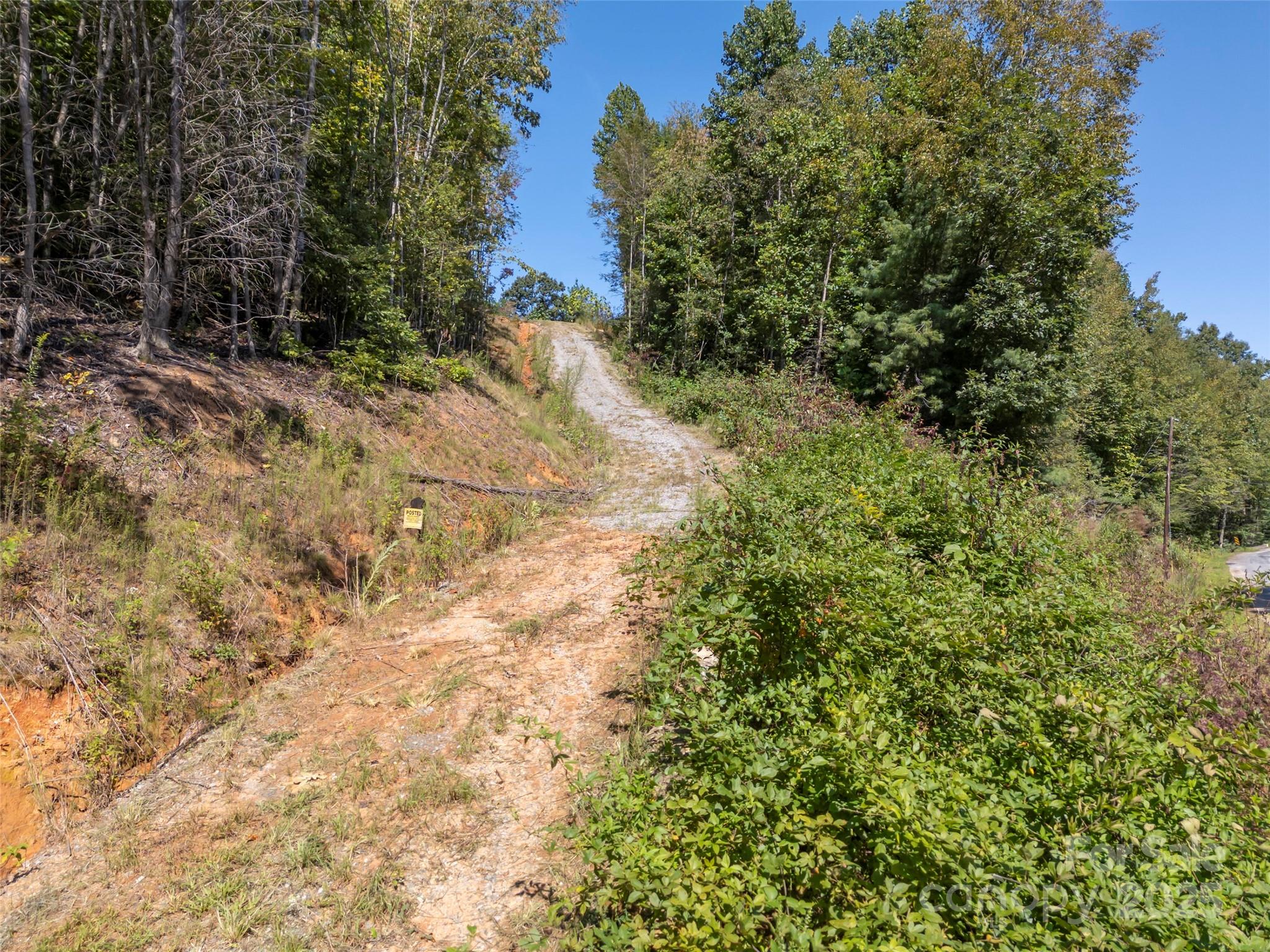 0 Camp Creek Road Saluda, NC 28773 - Photo 5 of 37 a view of a yard with plants and trees