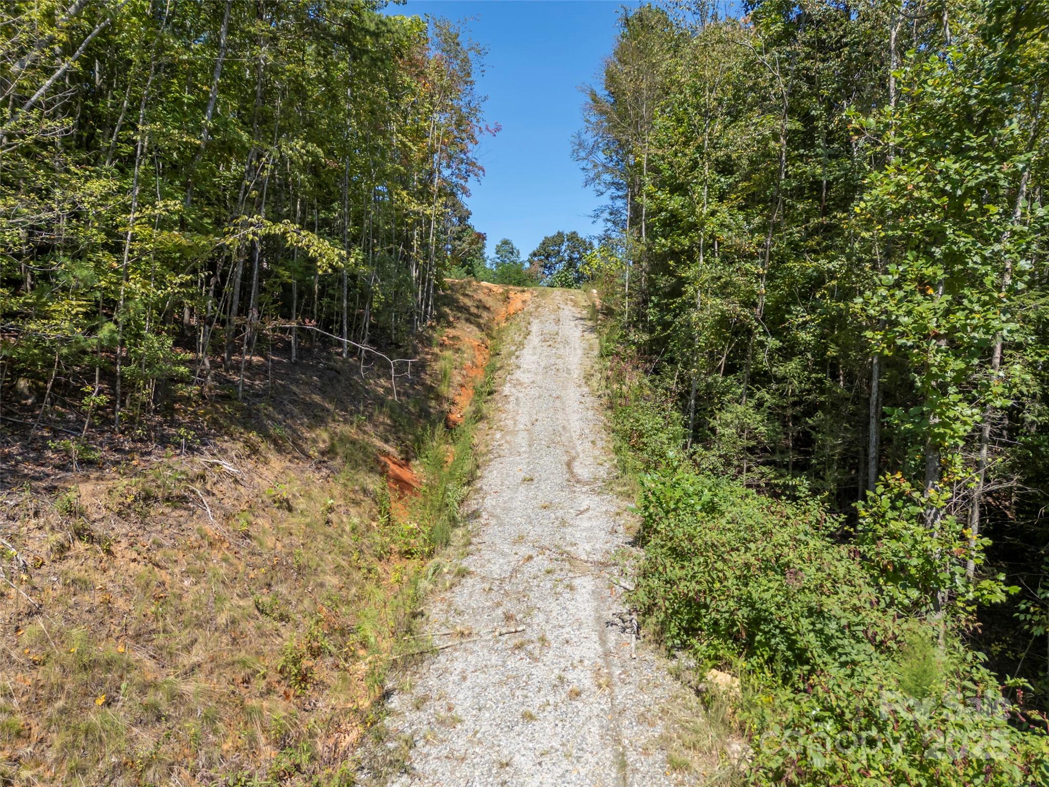 0 Camp Creek Road Saluda, NC 28773 - Photo 6 of 37 a view of a yard with plants and large trees
