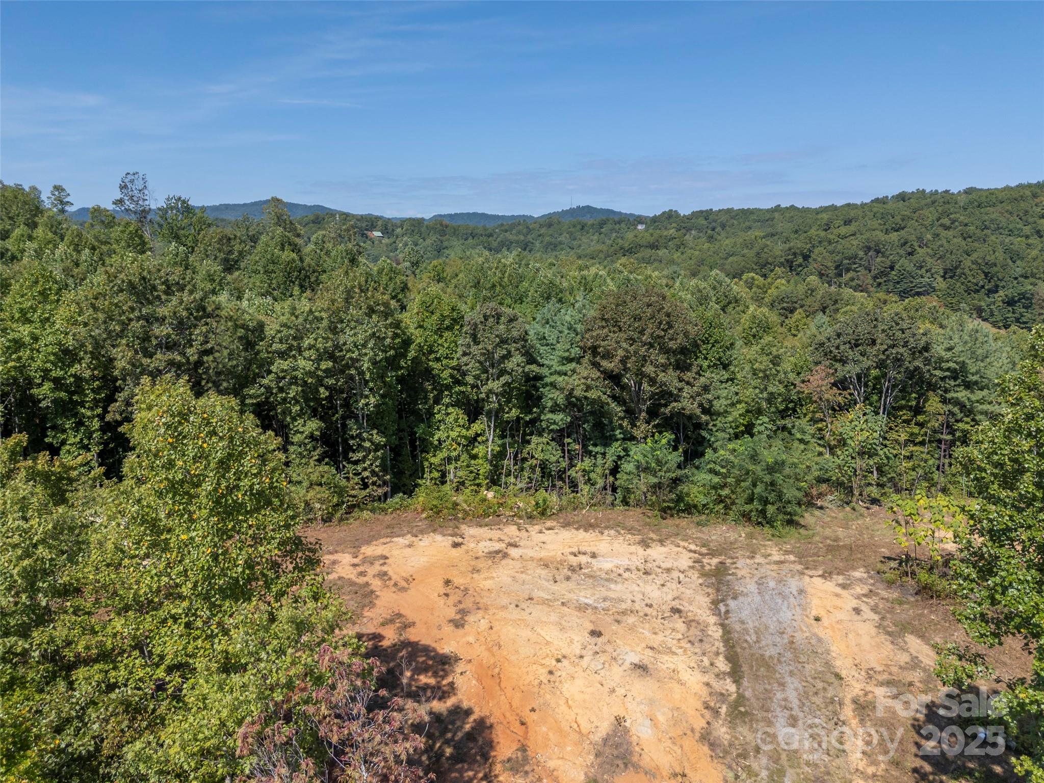 0 Camp Creek Road Saluda, NC 28773 - Photo 7 of 37 a view of a forest with a mountain