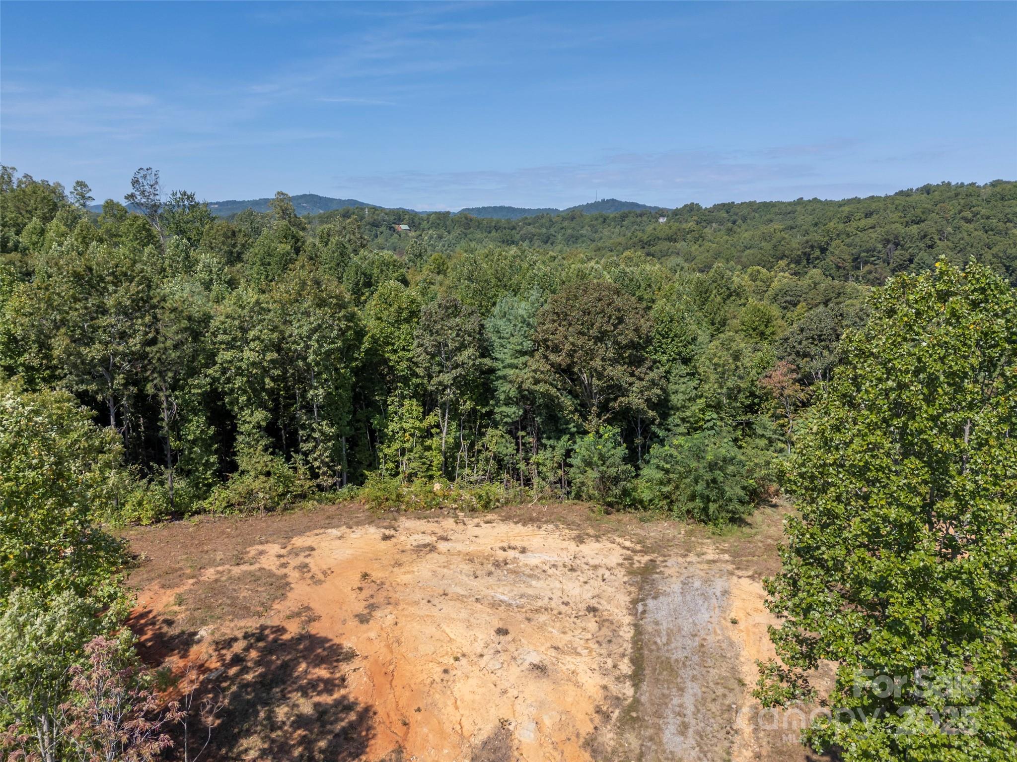 0 Camp Creek Road Saluda, NC 28773 - Photo 8 of 37 a view of a forest with a mountain