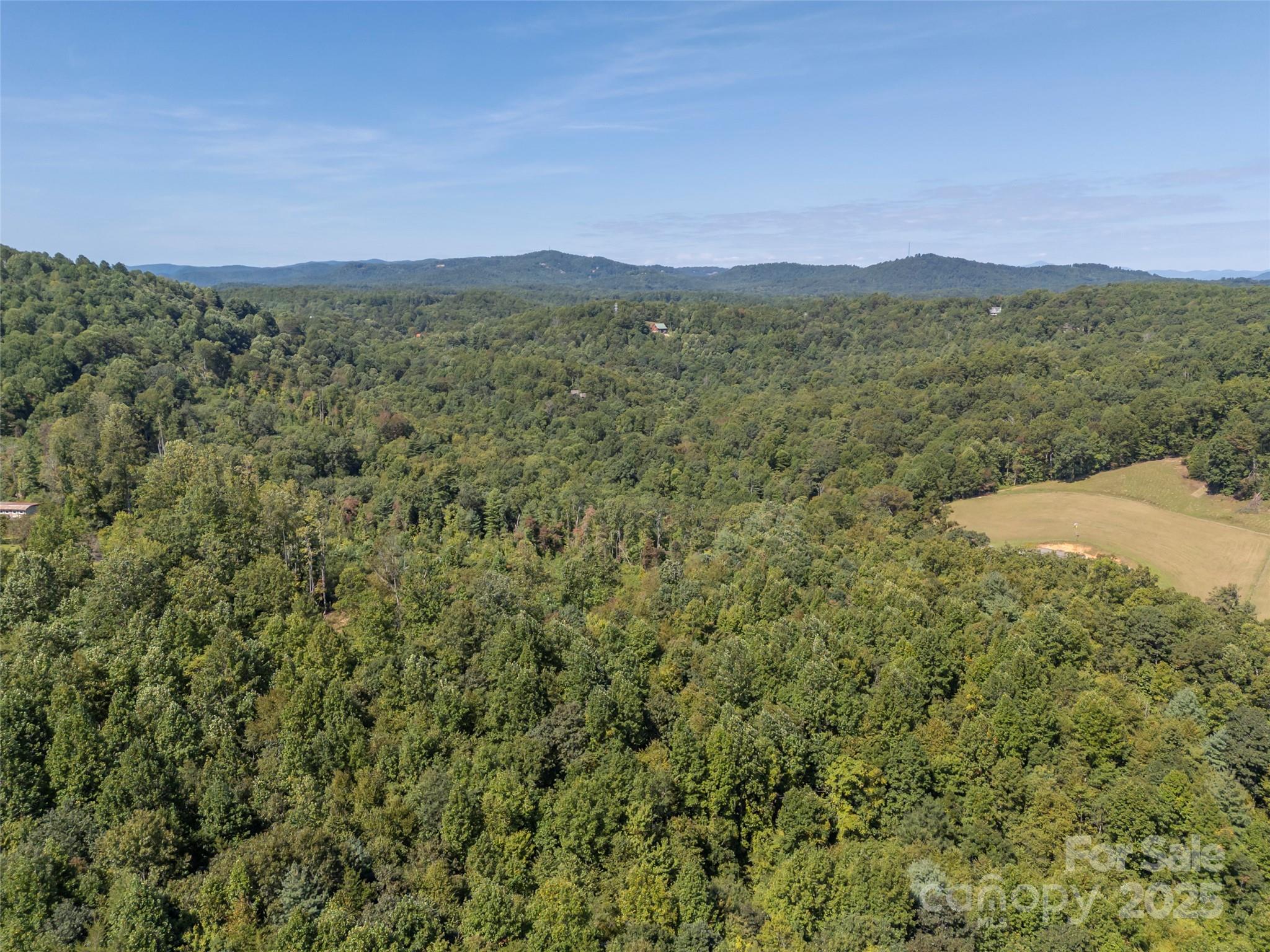 0 Camp Creek Road Saluda, NC 28773 - Photo 9 of 37 a view of a town with mountains in the background