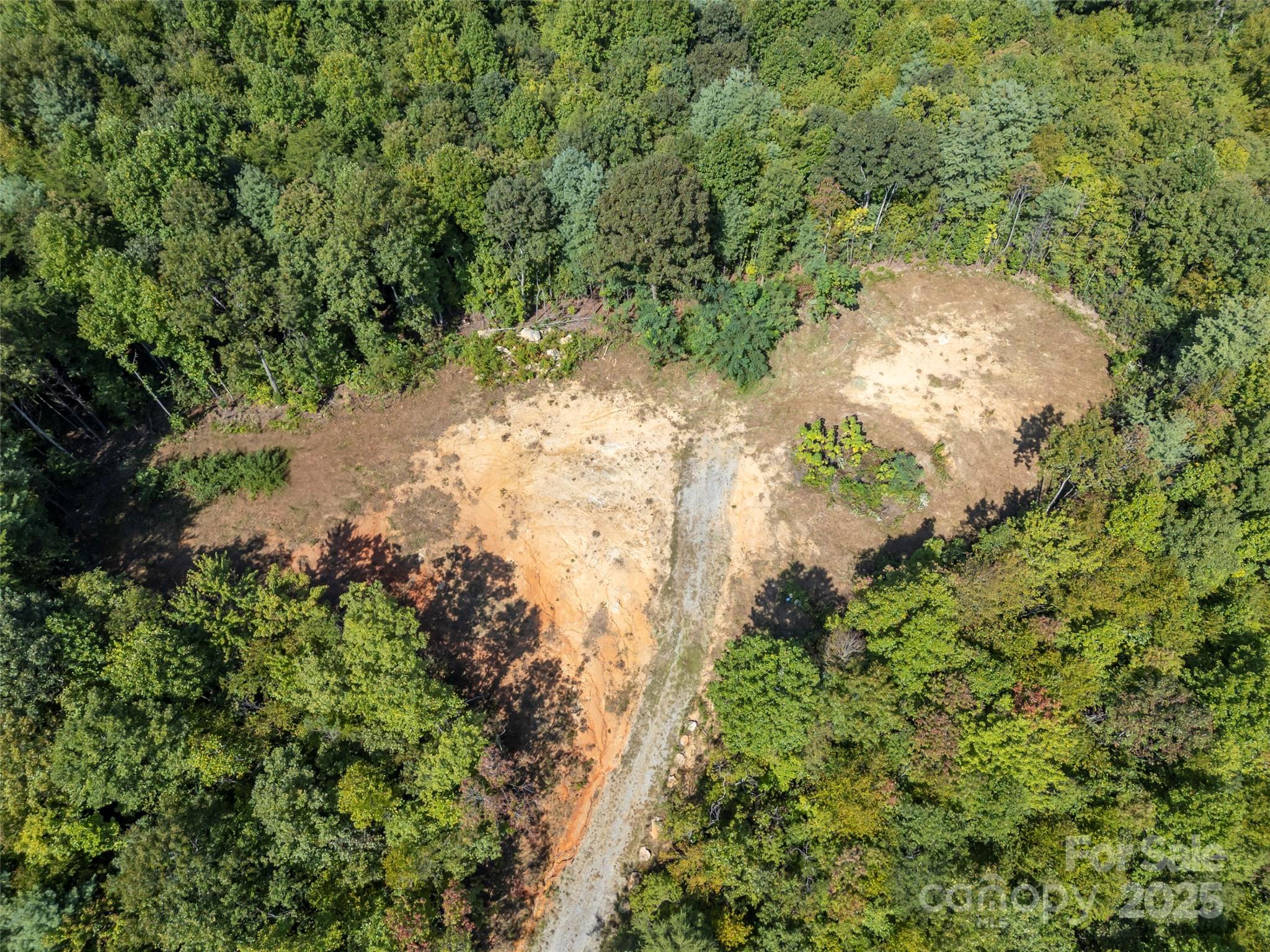 0 Camp Creek Road Saluda, NC 28773 - Photo 10 of 37 a view of a garden with plants
