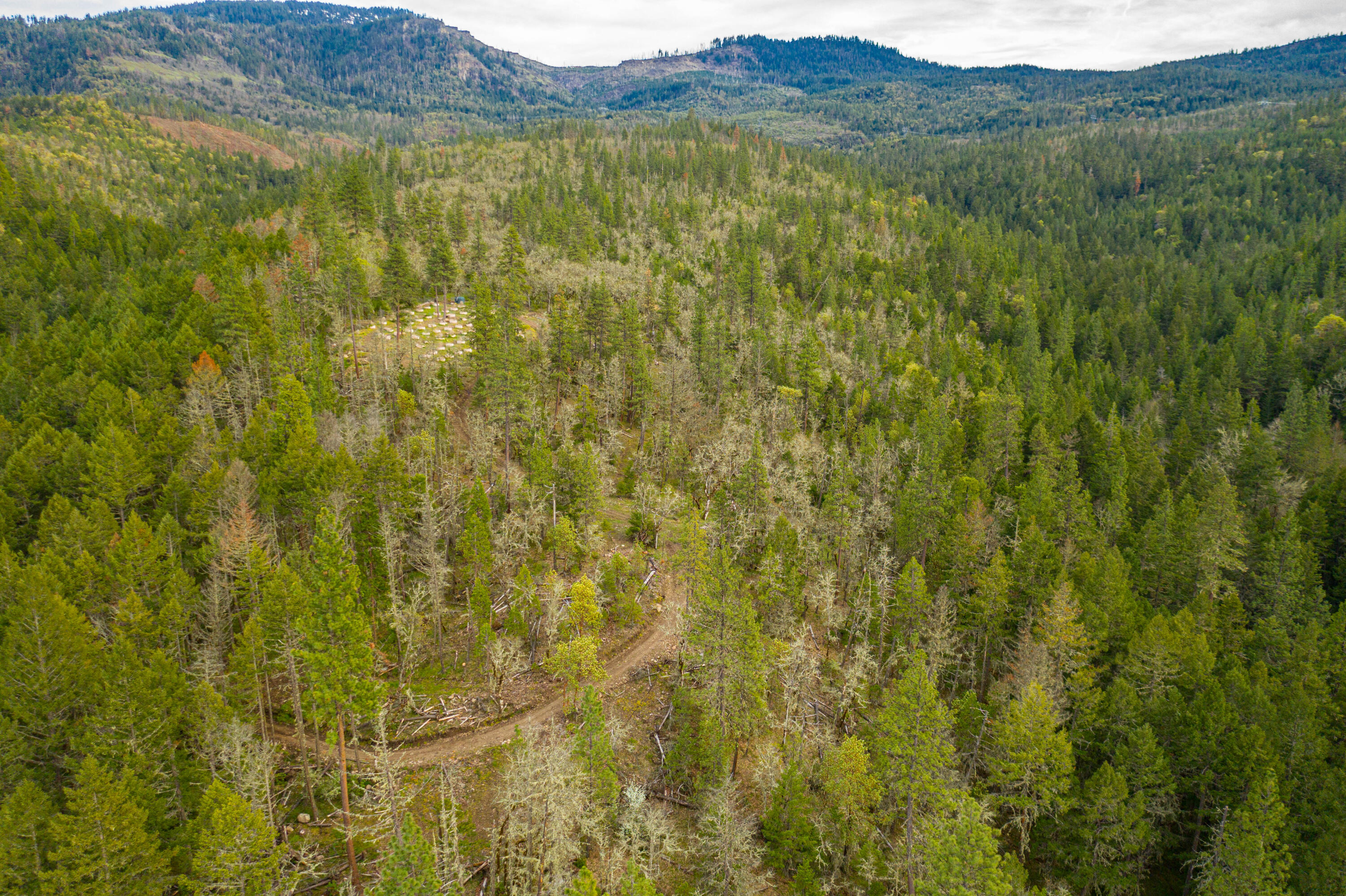 12366 East Antelope Road Eagle Point, OR 97524 - Photo 5 of 39 Antelope-5