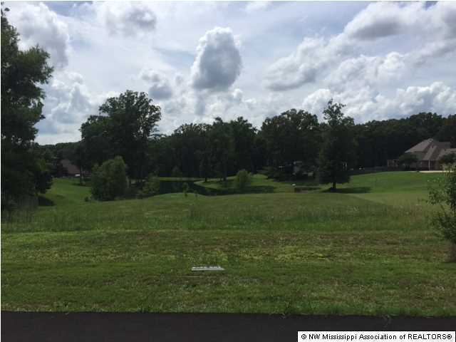 1889 Radley Road Nesbit, MS 38651 - Photo 2 of 3 Additional Photo