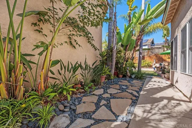 a view of a yard with plants