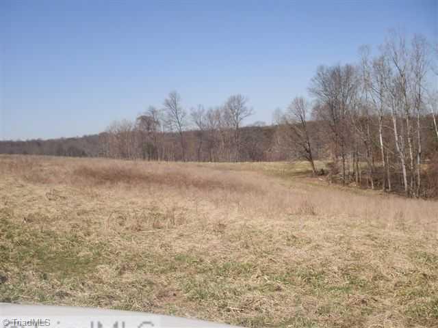 160-ac Mitchell Road Reidsville, NC 27320 - Photo 12 of 16 Other. Owner will subdivide and finance.