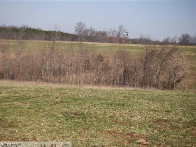 160-ac Mitchell Road Reidsville, NC 27320 - Photo 13 of 16 Other. Seller will sell 10 acres up to 300 acres!