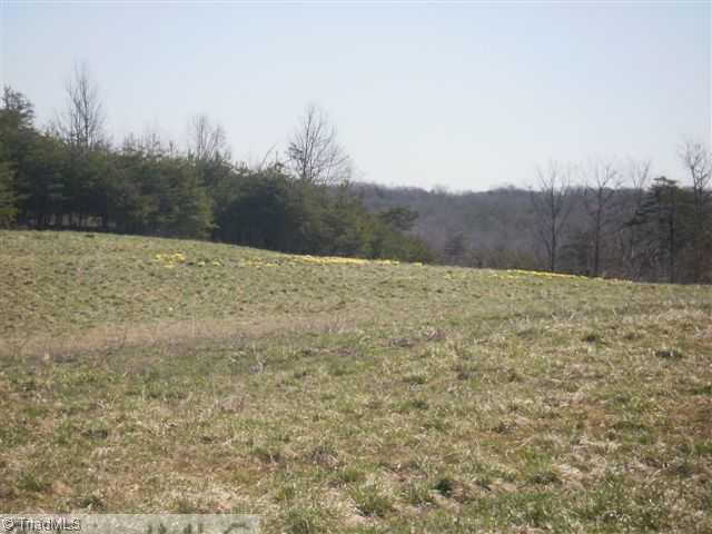 160-ac Mitchell Road Reidsville, NC 27320 - Photo 15 of 16 Other. Turkeys, deer, and YOU!