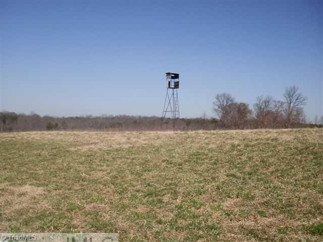 160-ac Mitchell Road Reidsville, NC 27320 - Photo 5 of 16 Other. Great Hunting Grounds