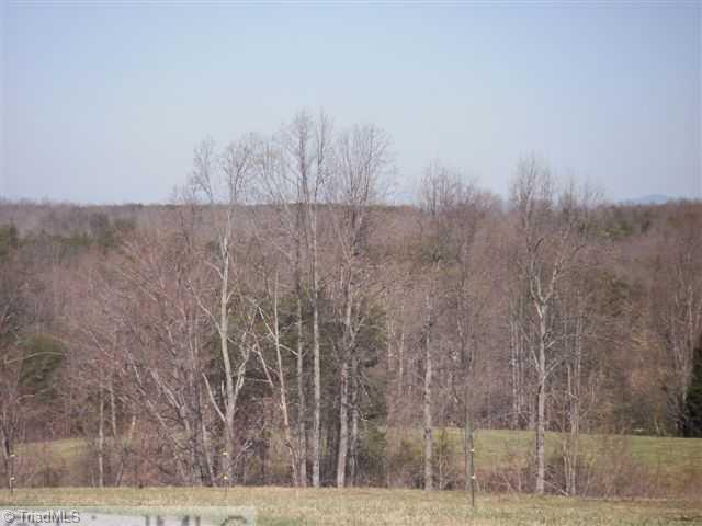 160-ac Mitchell Road Reidsville, NC 27320 - Photo 6 of 16 Other. Hunters Paradise