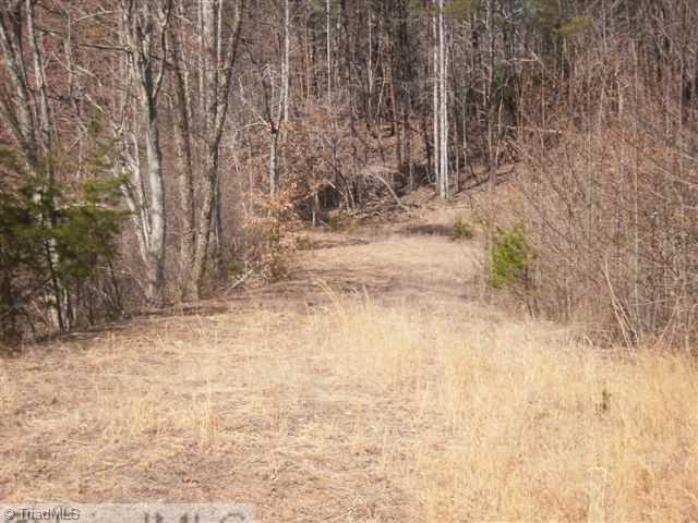 160-ac Mitchell Road Reidsville, NC 27320 - Photo 7 of 16 Other. Great Horse Trails