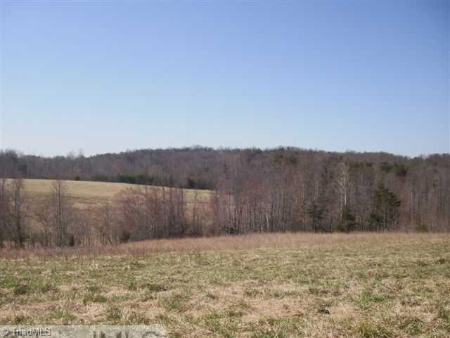 160-ac Mitchell Road Reidsville, NC 27320 - Photo 8 of 16 Other. Land that just keeps giving!