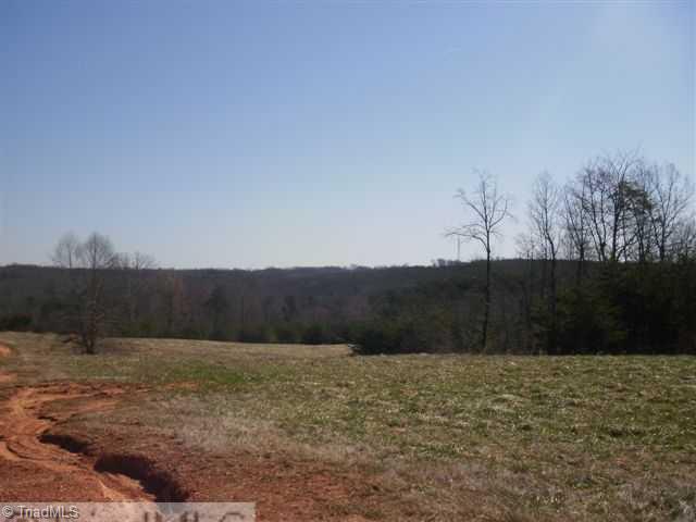 160-ac Mitchell Road Reidsville, NC 27320 - Photo 10 of 16 Other. Open and wooded areas great for horses, cows or just family homes.