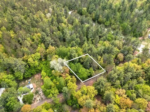 $3,000 | Tbd West Lily Lk Road, Manistique, MI 49854
