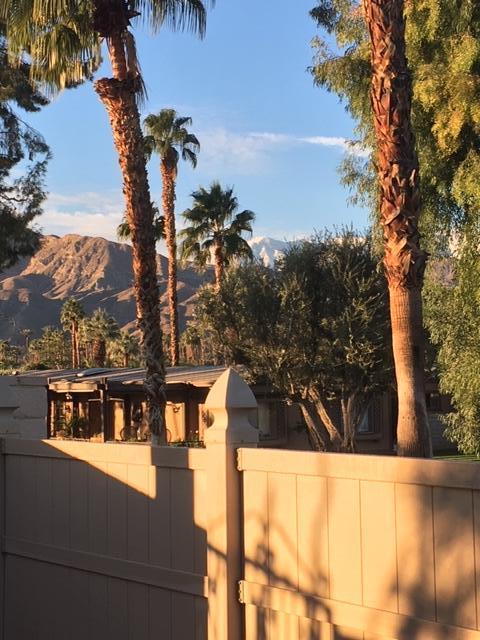 71 Rio Street Rancho Mirage, CA 92270 - Photo 8 of 49 Laurie 5