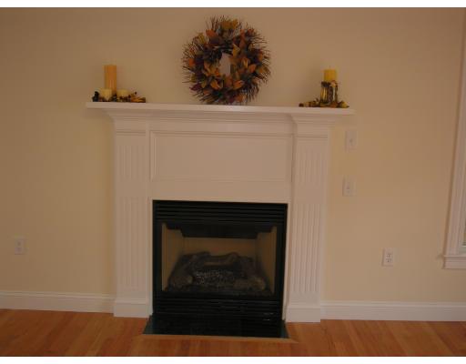 4 Knowles Farm Road Arlington, MA 02474 - Photo 4 of 12 a close view of a fireplace