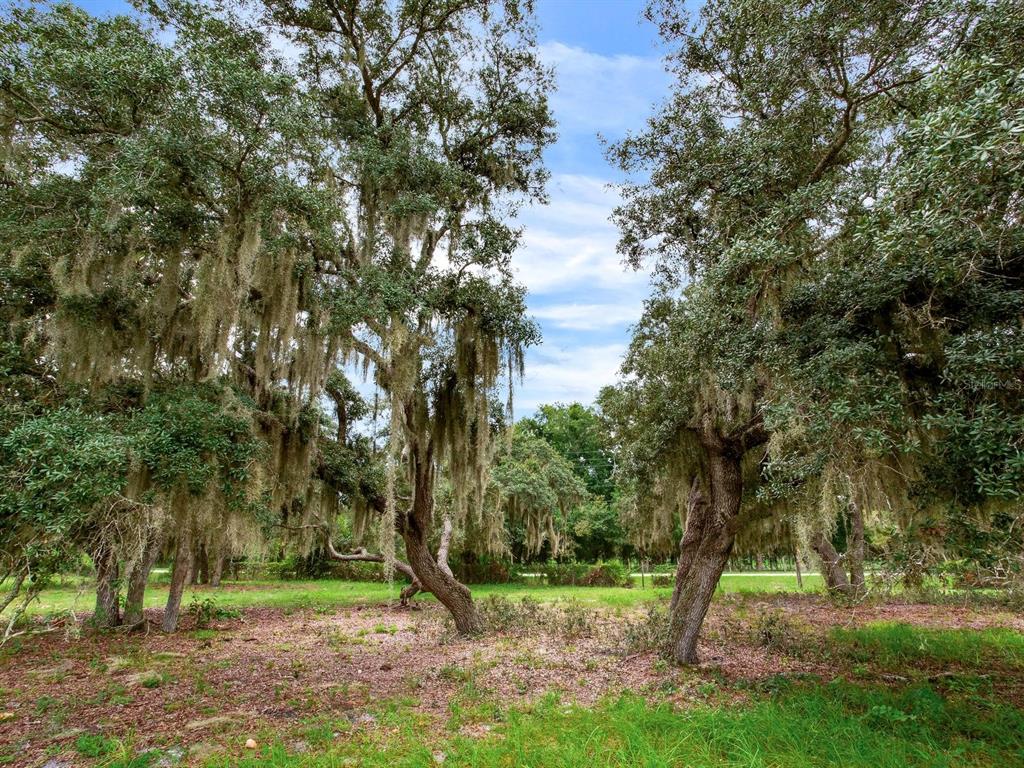 Lake Buffum Road North Lake Wales, FL 33859 - Photo 6 of 23 Gallery Image 6