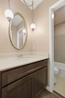 a bathroom with a sink a toilet and a mirror