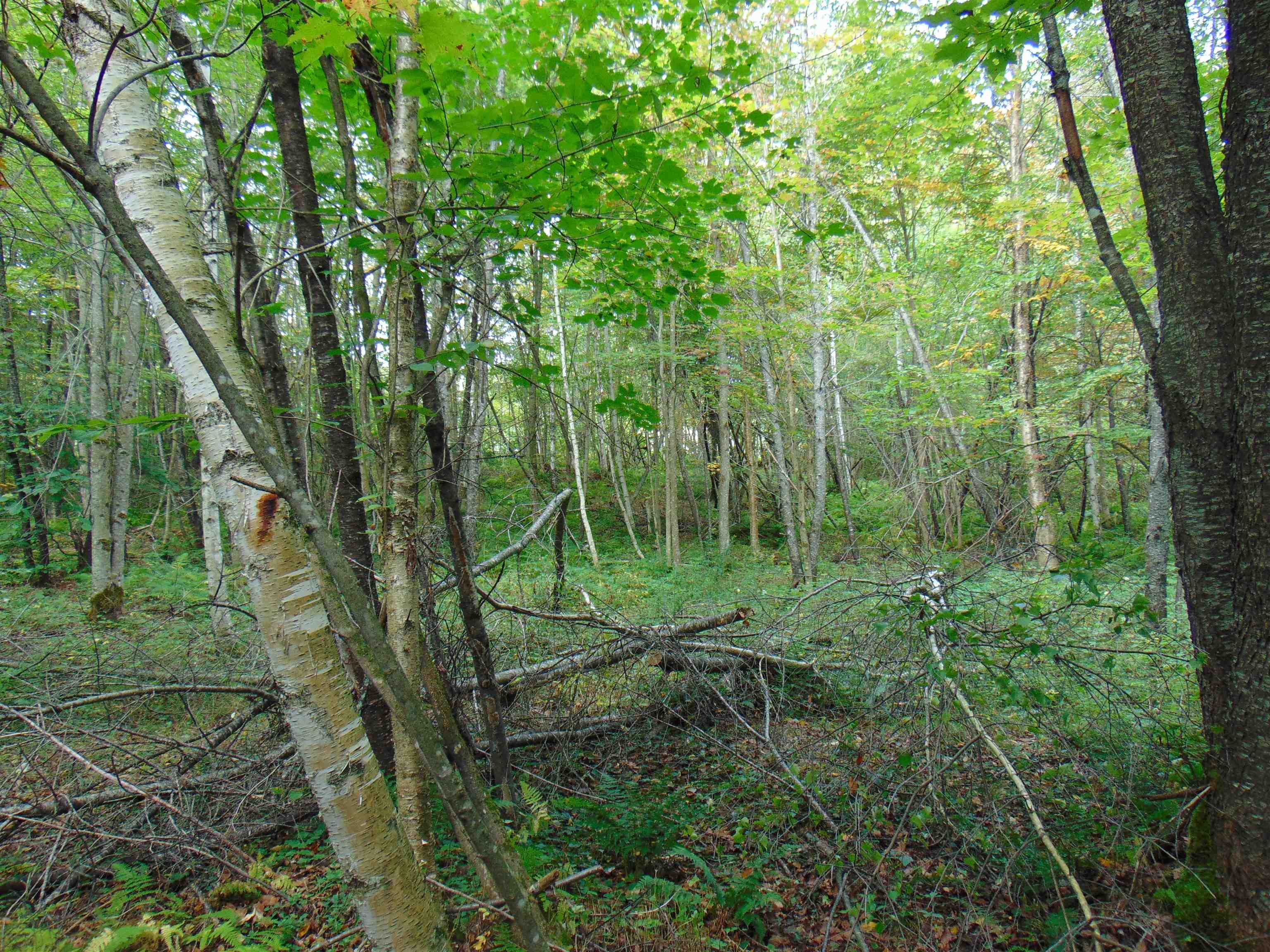 0 Beede Road Concord, VT 05824 - Photo 2 of 11
