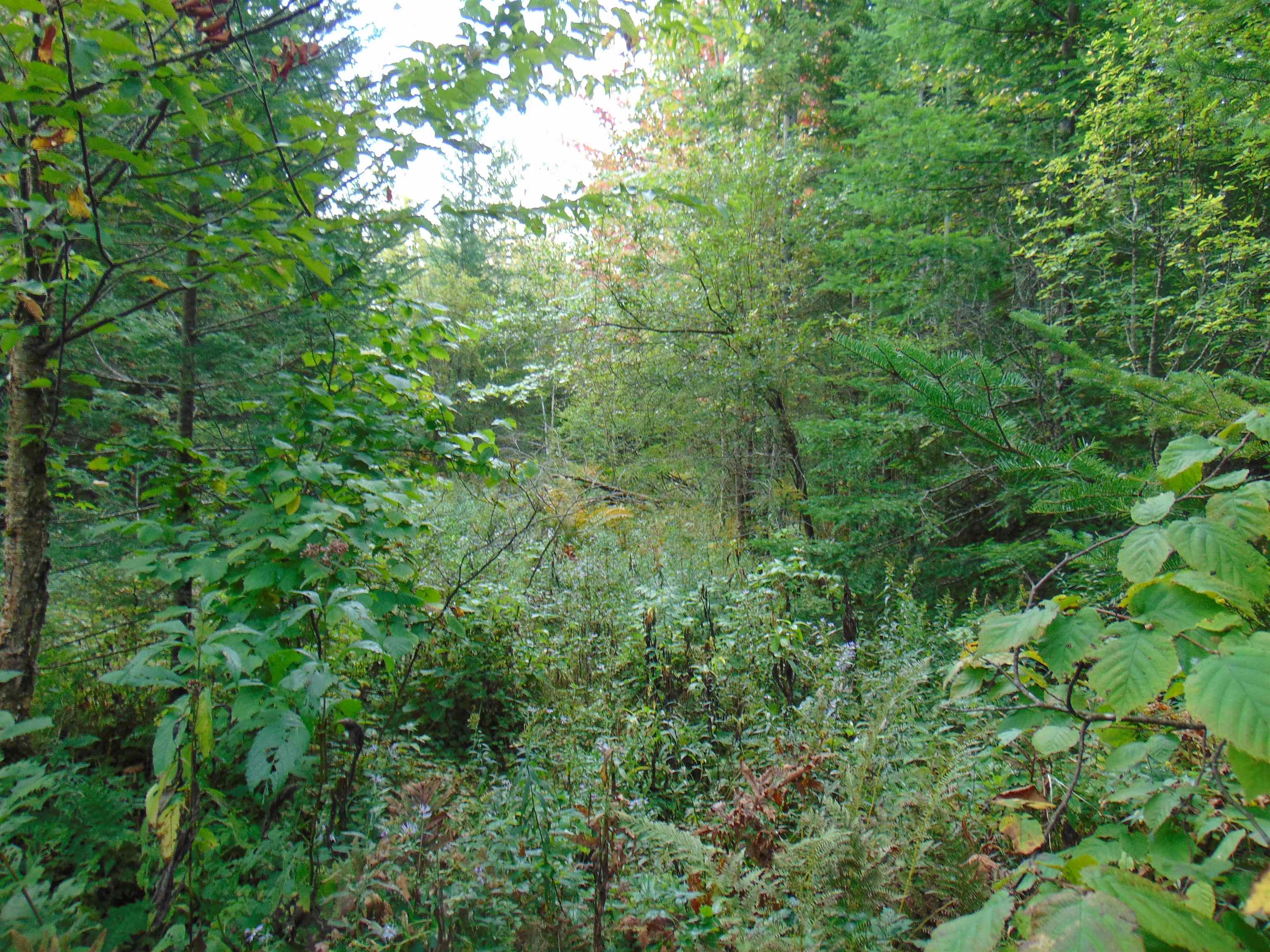 0 Beede Road Concord, VT 05824 - Photo 6 of 11