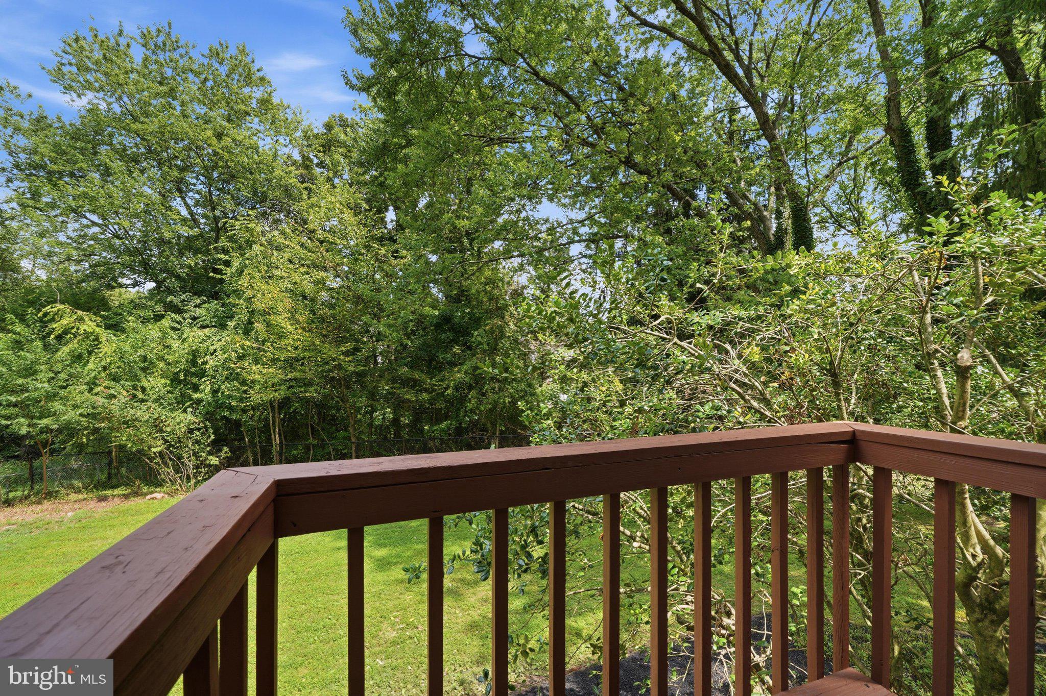 14317 Sturtevant Road Silver Spring, MD 20905 - Photo 11 of 55 Juliet Balcony - dining room access