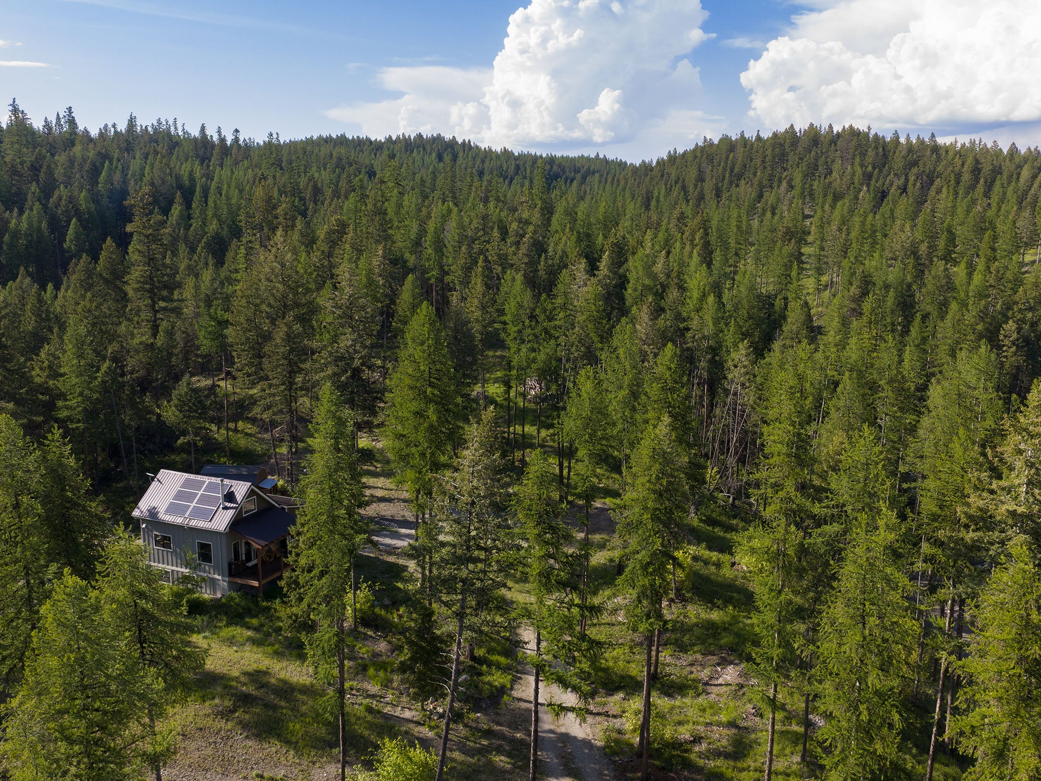 254 Chinook Lk Road Whitefish, MT 59937 - Photo 55 of 86 Gallery Image 55
