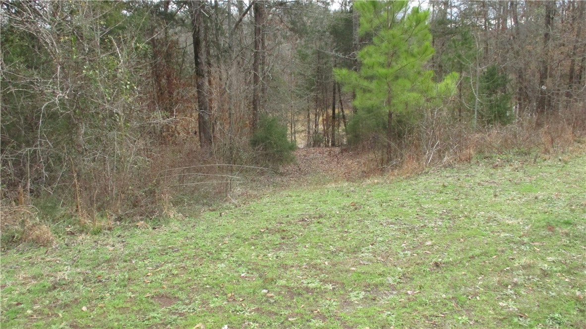 0 Osprey Way, Unit LOT 7 Iva, SC 29655 - Photo 11 of 17 View from left of cul-de-sak, pond in the distance