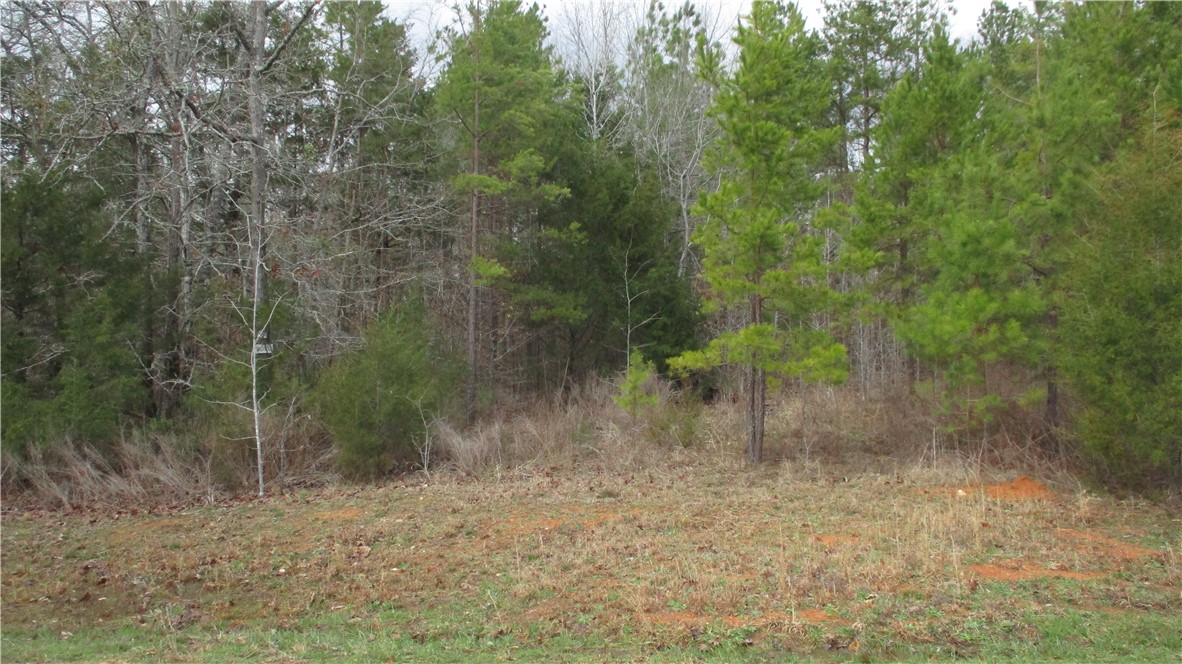 0 Osprey Way, Unit LOT 7 Iva, SC 29655 - Photo 8 of 17 View from center of cul-de-sak at end of Osprey Wa