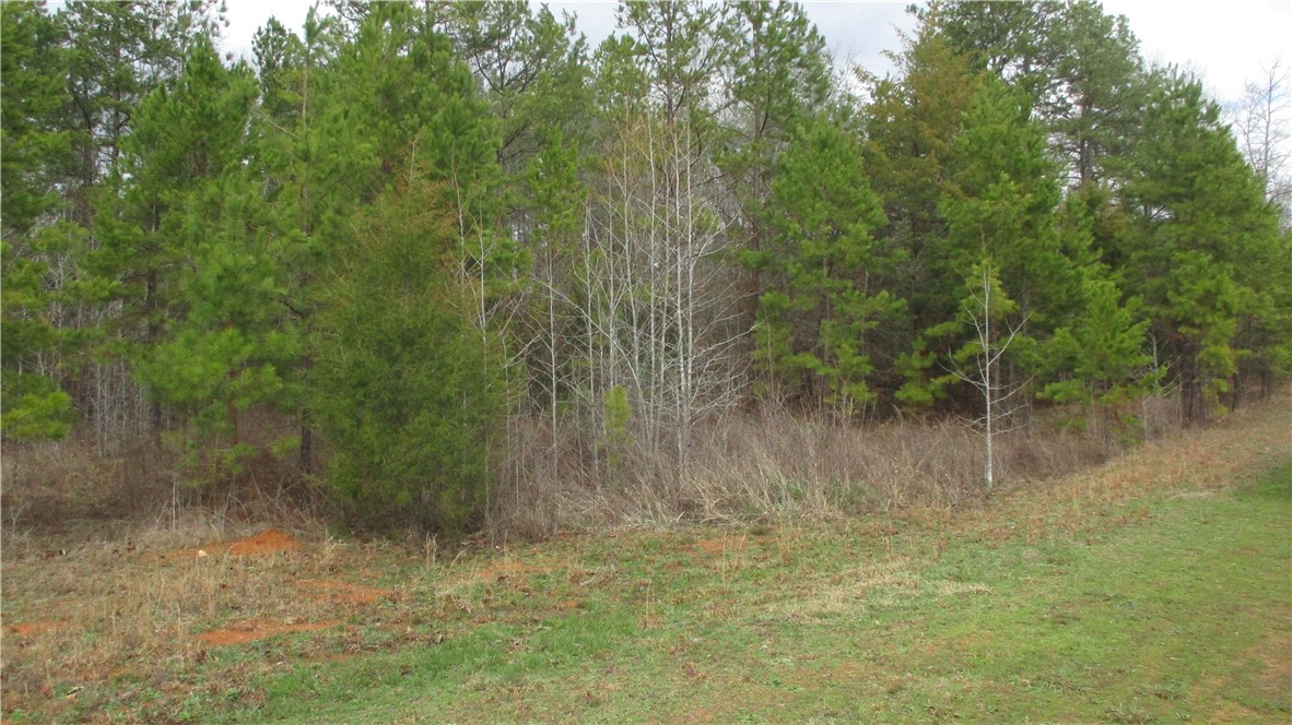 0 Osprey Way, Unit LOT 7 Iva, SC 29655 - Photo 9 of 17 View from center of cul-de-sak at end of Osprey Wa