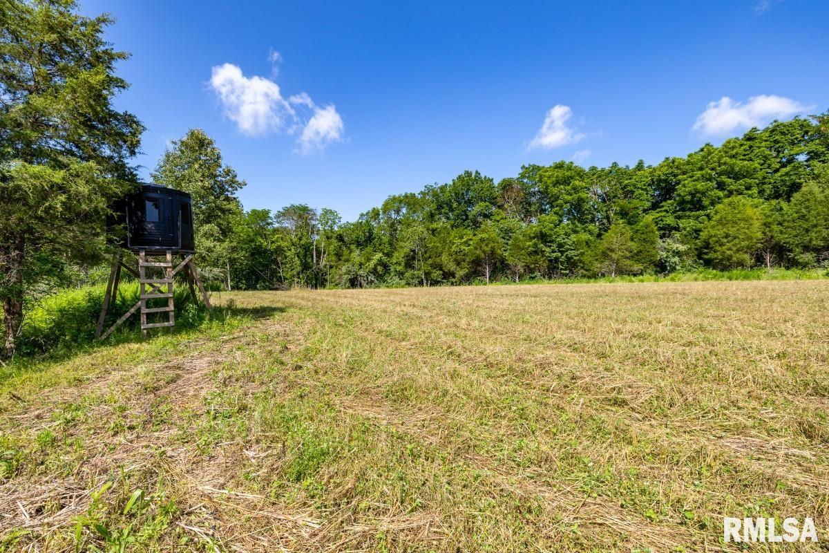 0 Tom Dick Hill Road Stonefort, IL 62987 - Photo 49 of 62