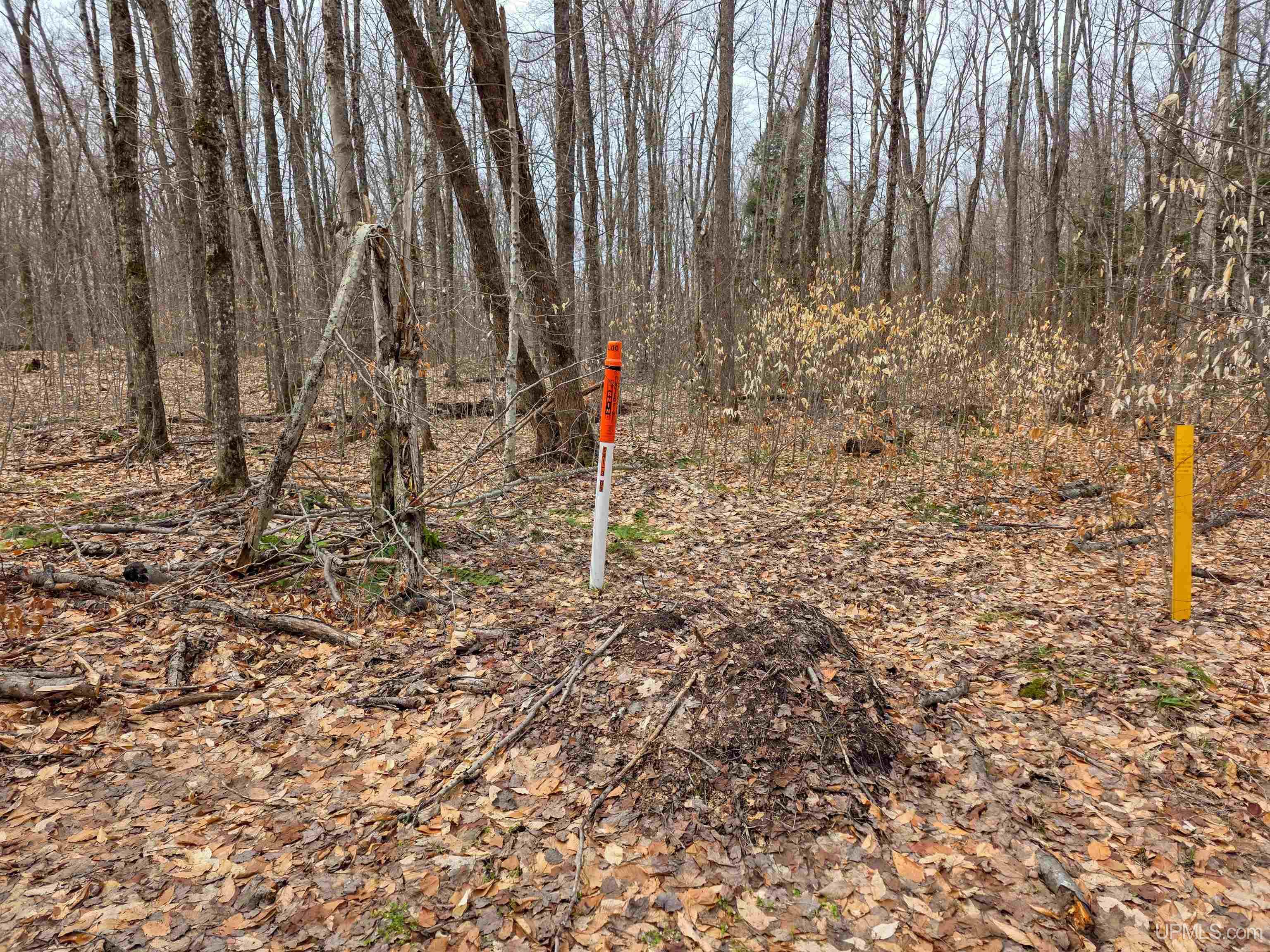 Tbd Stella Lake Road Wetmore, MI 49895 - Photo 16 of 18