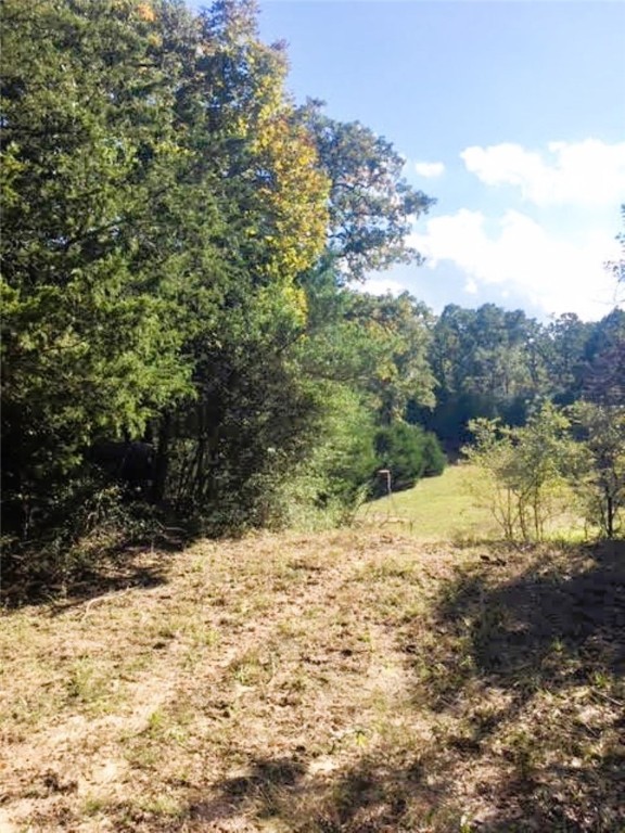 Tbd Jackrabbit Lane Bryan, TX 77808 - Photo 14 of 17 a view of a snow in the yard