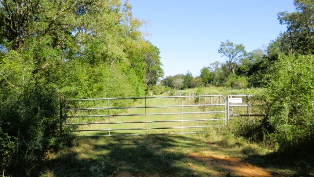 Tbd Jackrabbit Lane Bryan, TX 77808 - Photo 17 of 17 a view of a tennis court