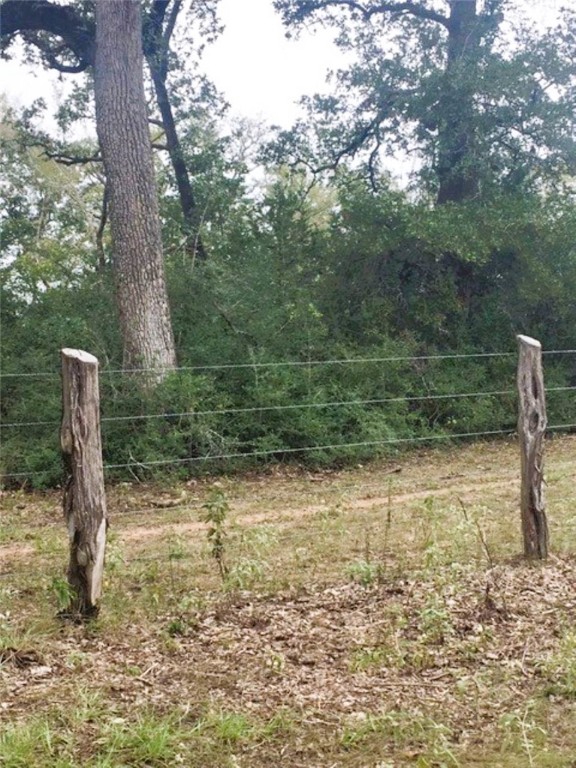 Tbd Jackrabbit Lane Bryan, TX 77808 - Photo 4 of 17 a backyard of a house with lots of green space