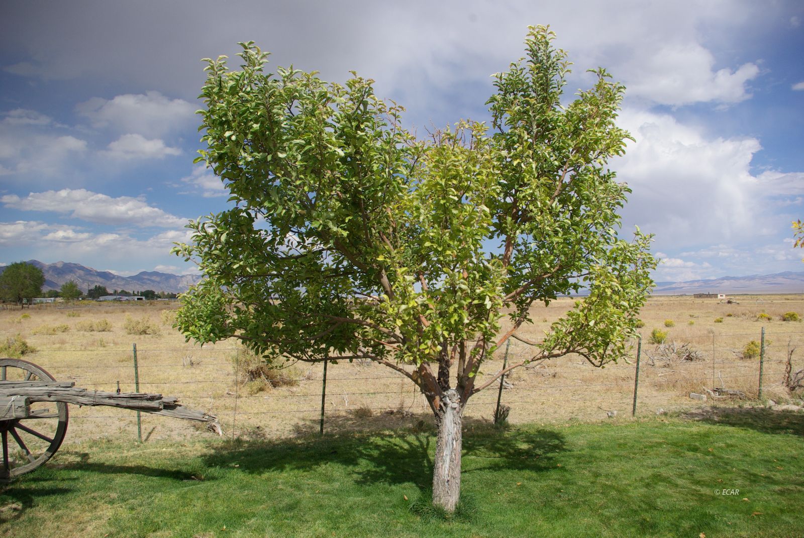 451 Manley Ranch Road Round Mountain, NV 89045 - Photo 36 of 39