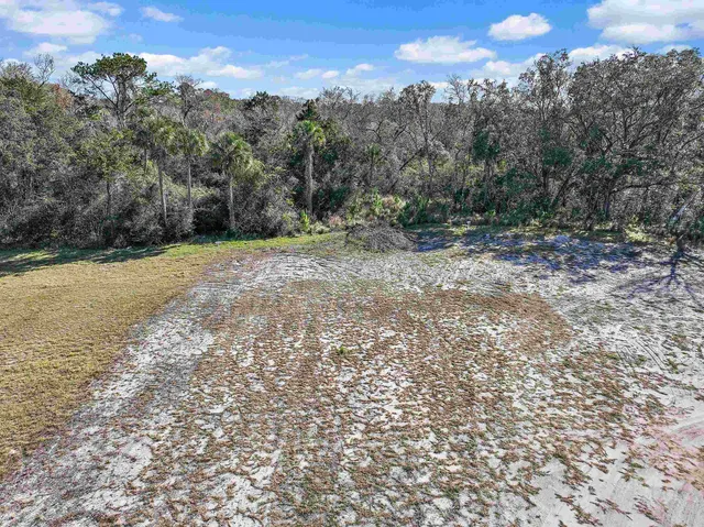 a view of a yard with a tree