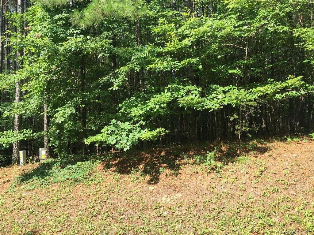 0 Hawk Ridge Drive, Unit 14 Mill Spring, NC 28756 - Photo 3 of 15