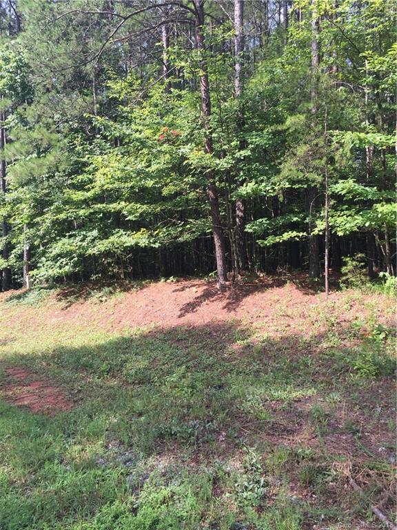 0 Hawk Ridge Drive, Unit 14 Mill Spring, NC 28756 - Photo 4 of 15