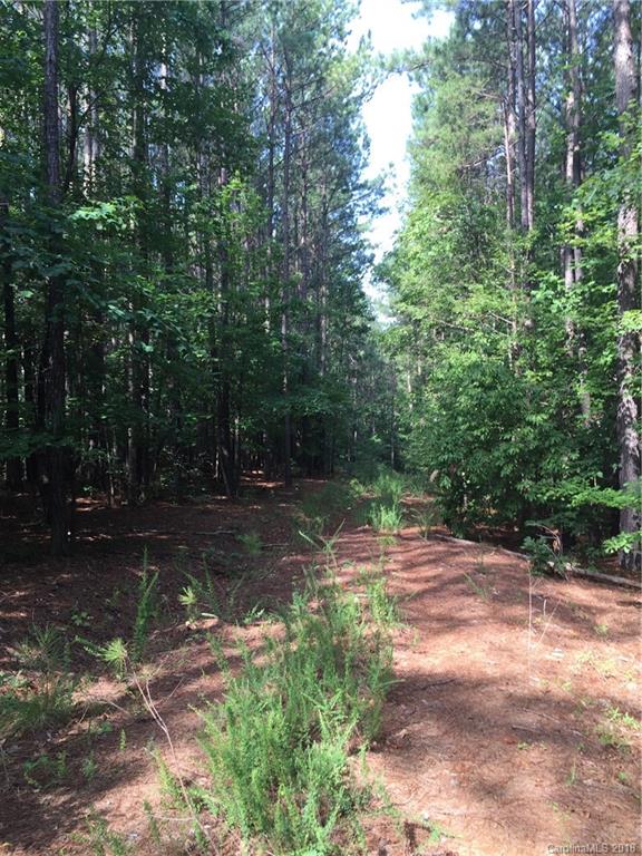 0 Hawk Ridge Drive, Unit 14 Mill Spring, NC 28756 - Photo 6 of 15