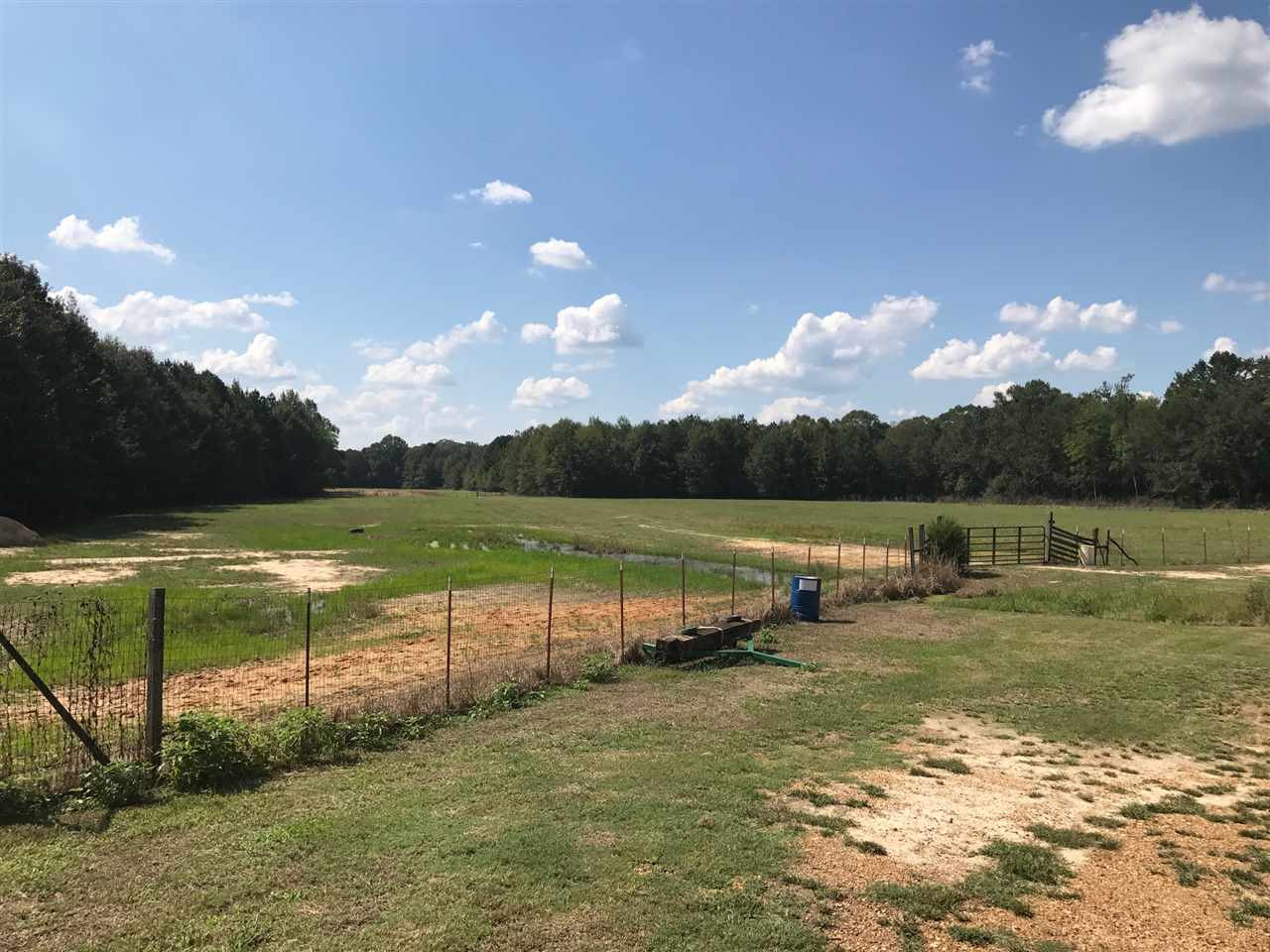 105 Drysdale Road Carthage, MS 39051 - Photo 22 of 47 Photo 24