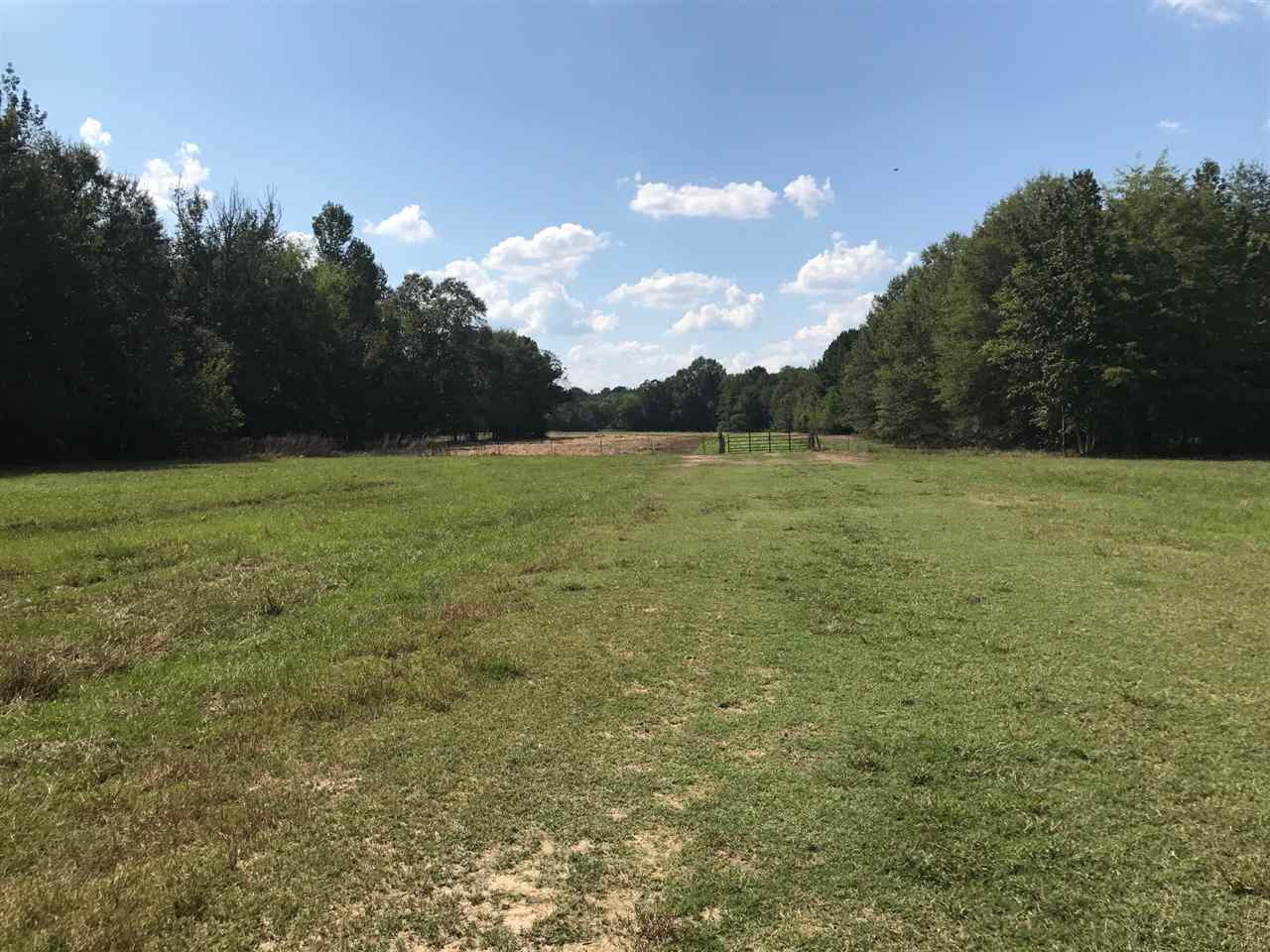 105 Drysdale Road Carthage, MS 39051 - Photo 32 of 47 Photo 35