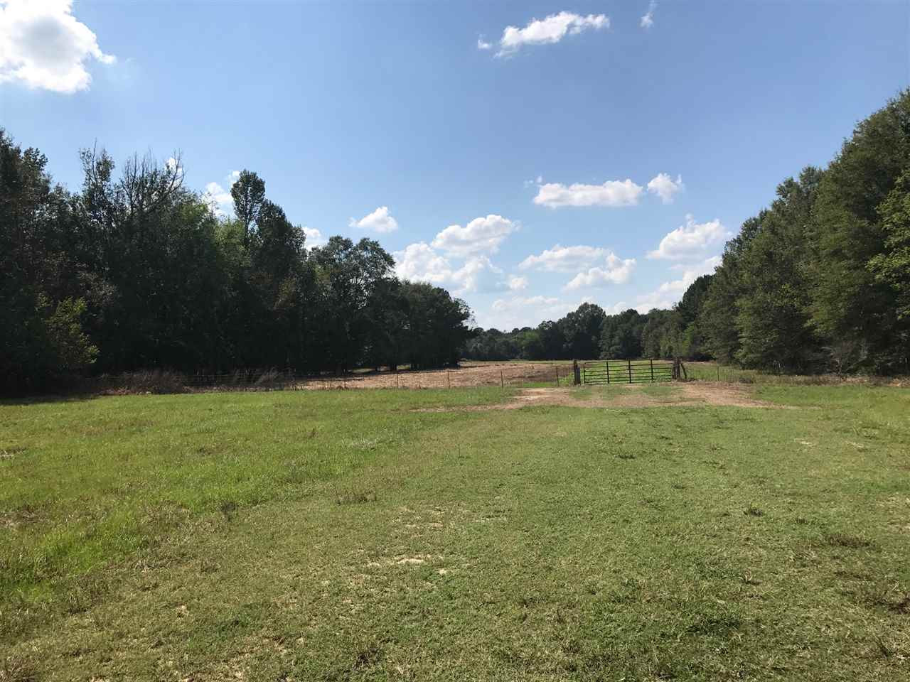 105 Drysdale Road Carthage, MS 39051 - Photo 33 of 47 Photo 36