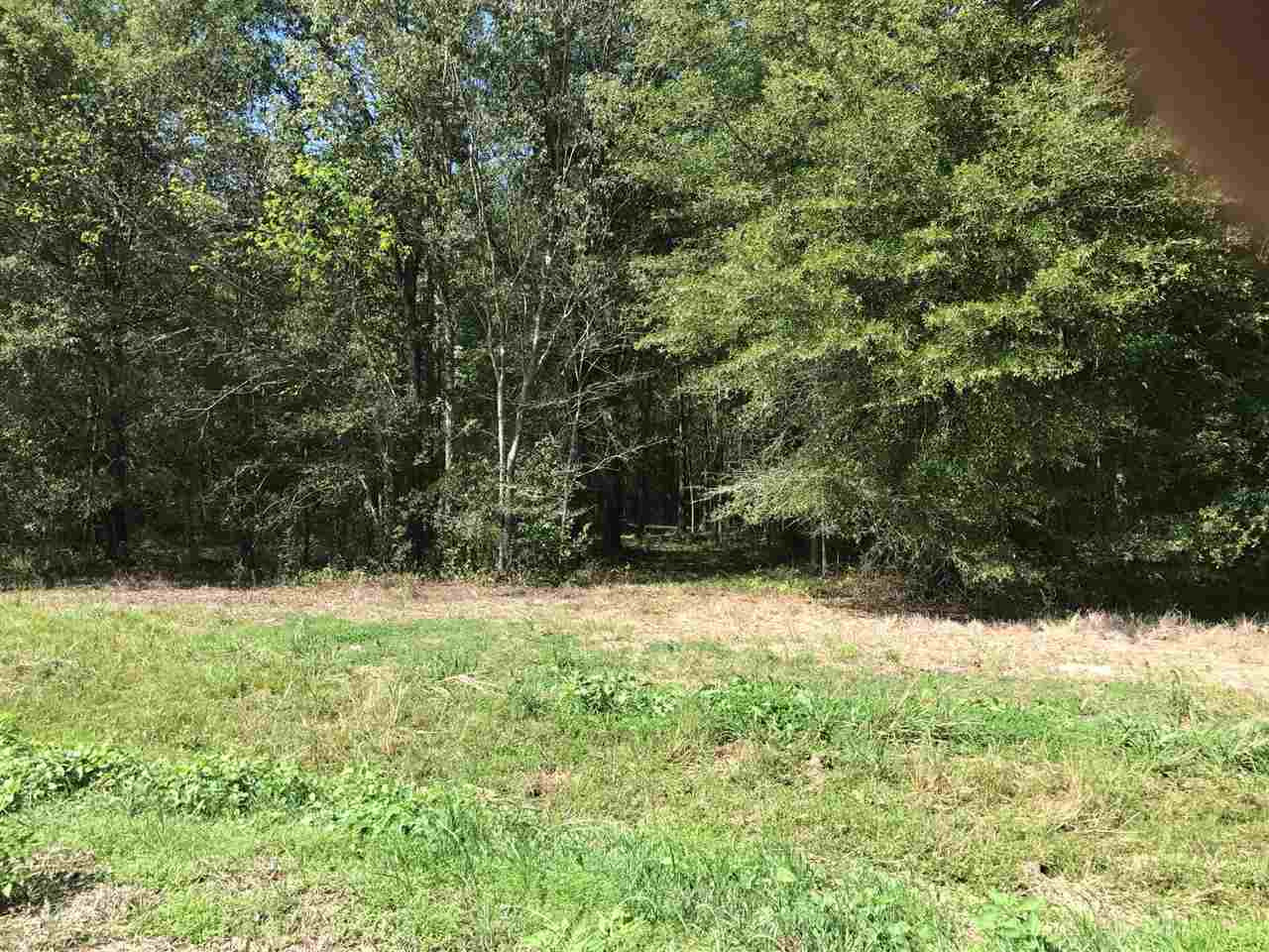 105 Drysdale Road Carthage, MS 39051 - Photo 35 of 47 Photo 38