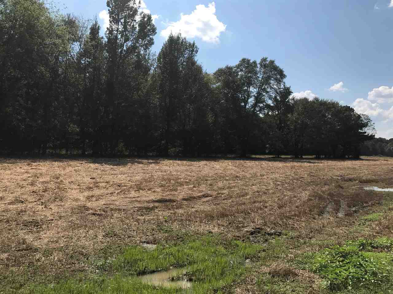 105 Drysdale Road Carthage, MS 39051 - Photo 36 of 47 Photo 39