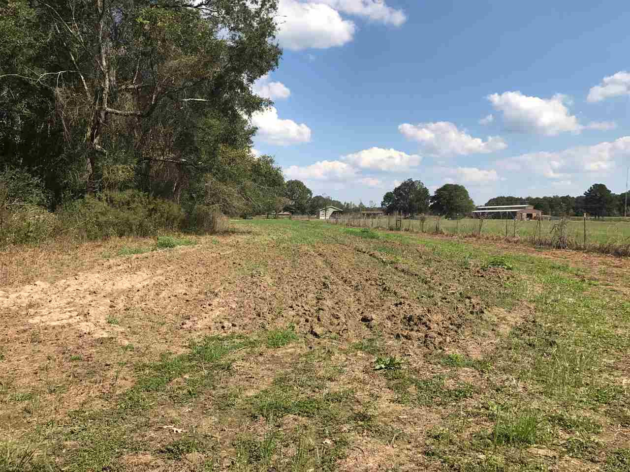 105 Drysdale Road Carthage, MS 39051 - Photo 37 of 47 Photo 40