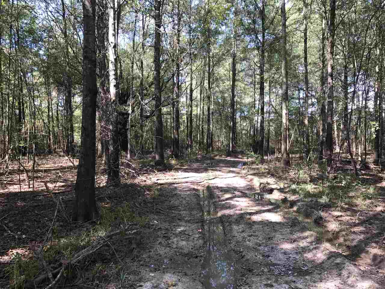 105 Drysdale Road Carthage, MS 39051 - Photo 38 of 47 Photo 41