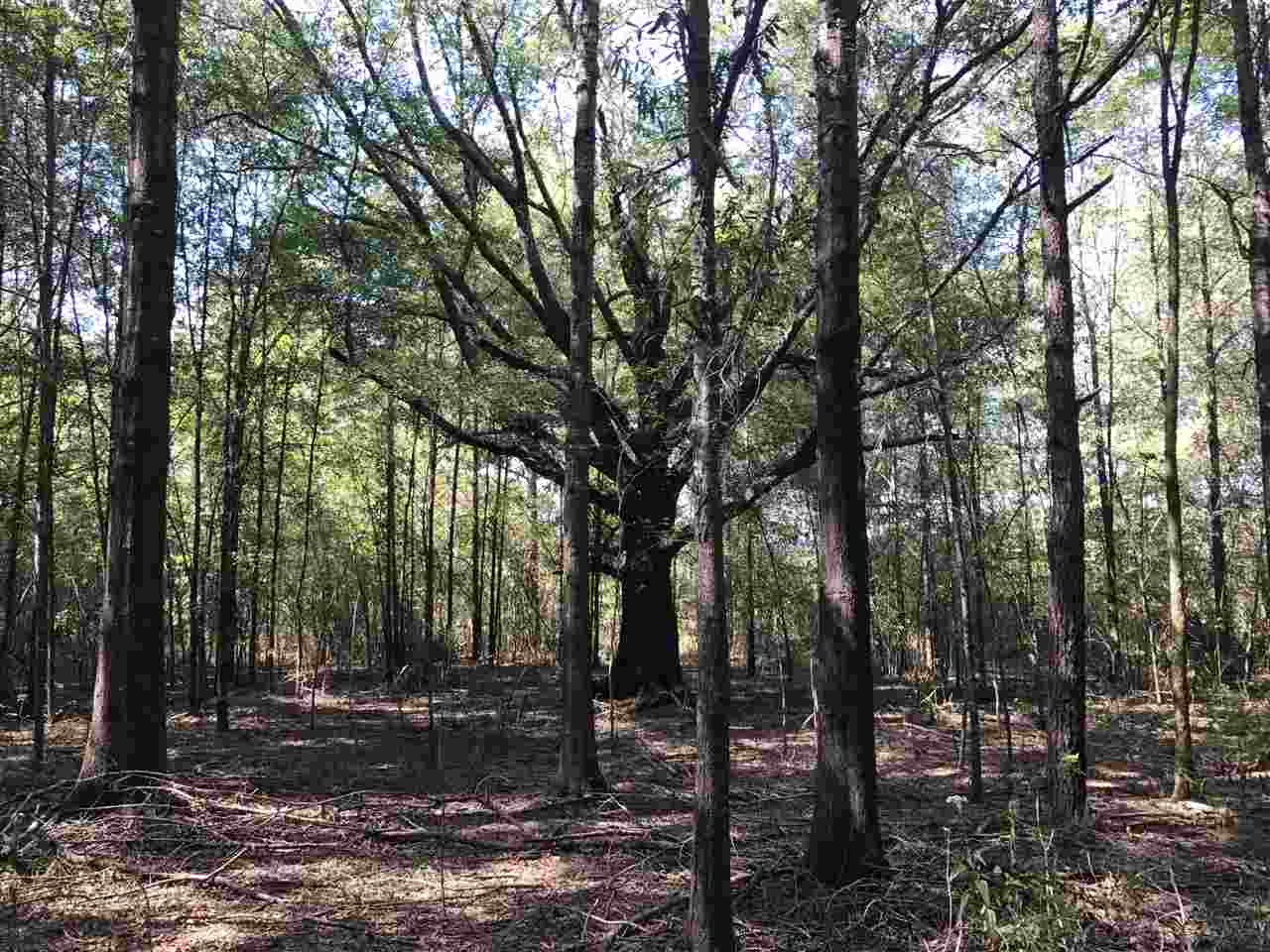 105 Drysdale Road Carthage, MS 39051 - Photo 39 of 47 Photo 42