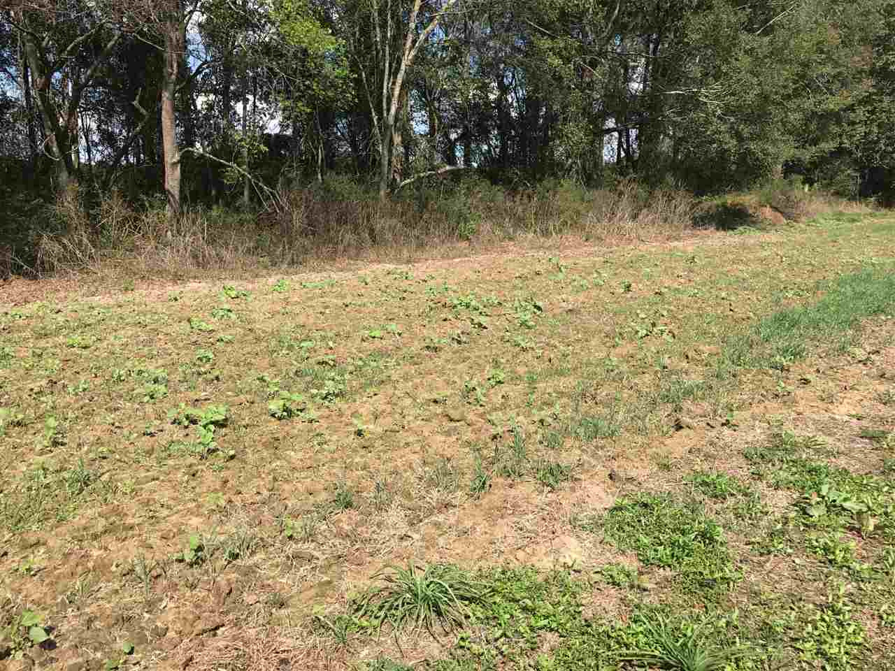 105 Drysdale Road Carthage, MS 39051 - Photo 40 of 47 Photo 43
