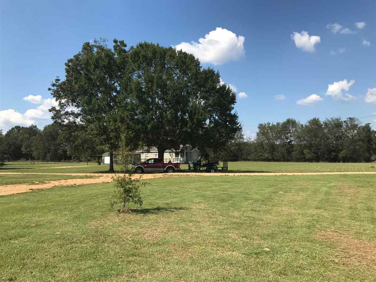 105 Drysdale Road Carthage, MS 39051 - Photo 4 of 47 Photo 4