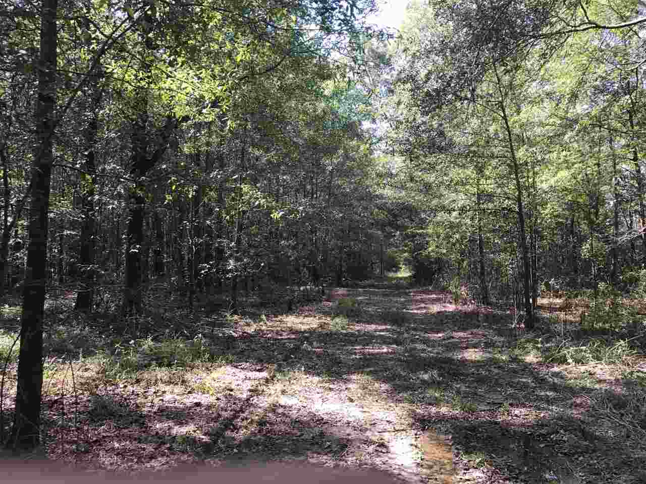 105 Drysdale Road Carthage, MS 39051 - Photo 41 of 47 Photo 44